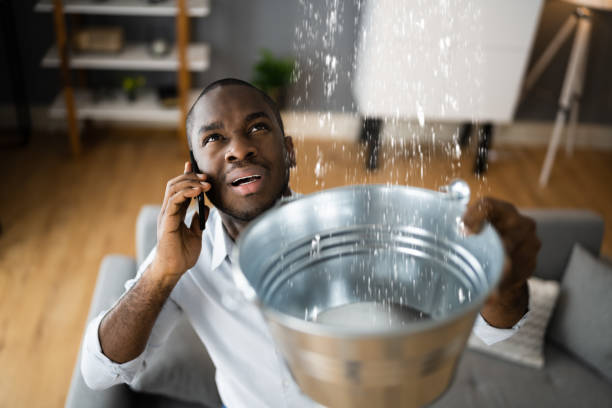 Best Carpet water damage restoration  in Mcmillin, WA