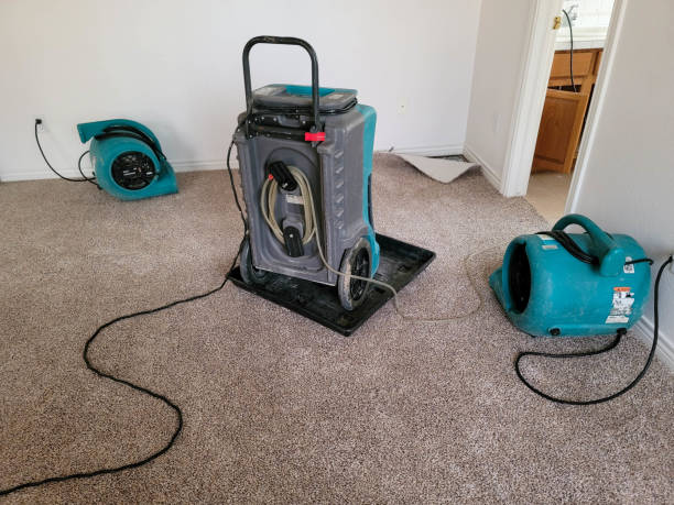 Best Fire Damage Restoration  in Mcmillin, WA