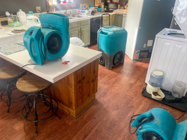 Best Basement water damage restoration  in Mcmillin, WA