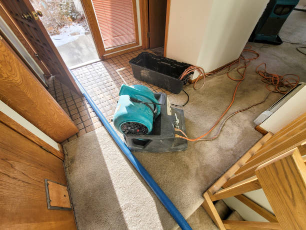 Best Mold removal after water damage  in Mcmillin, WA