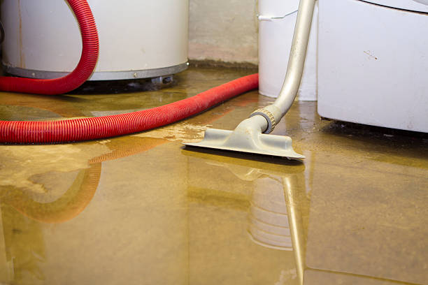 Best Mold removal after water damage  in Mcmillin, WA