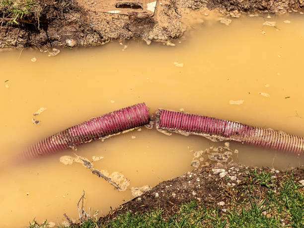 Carpet water damage restoration in Mcmillin, WA